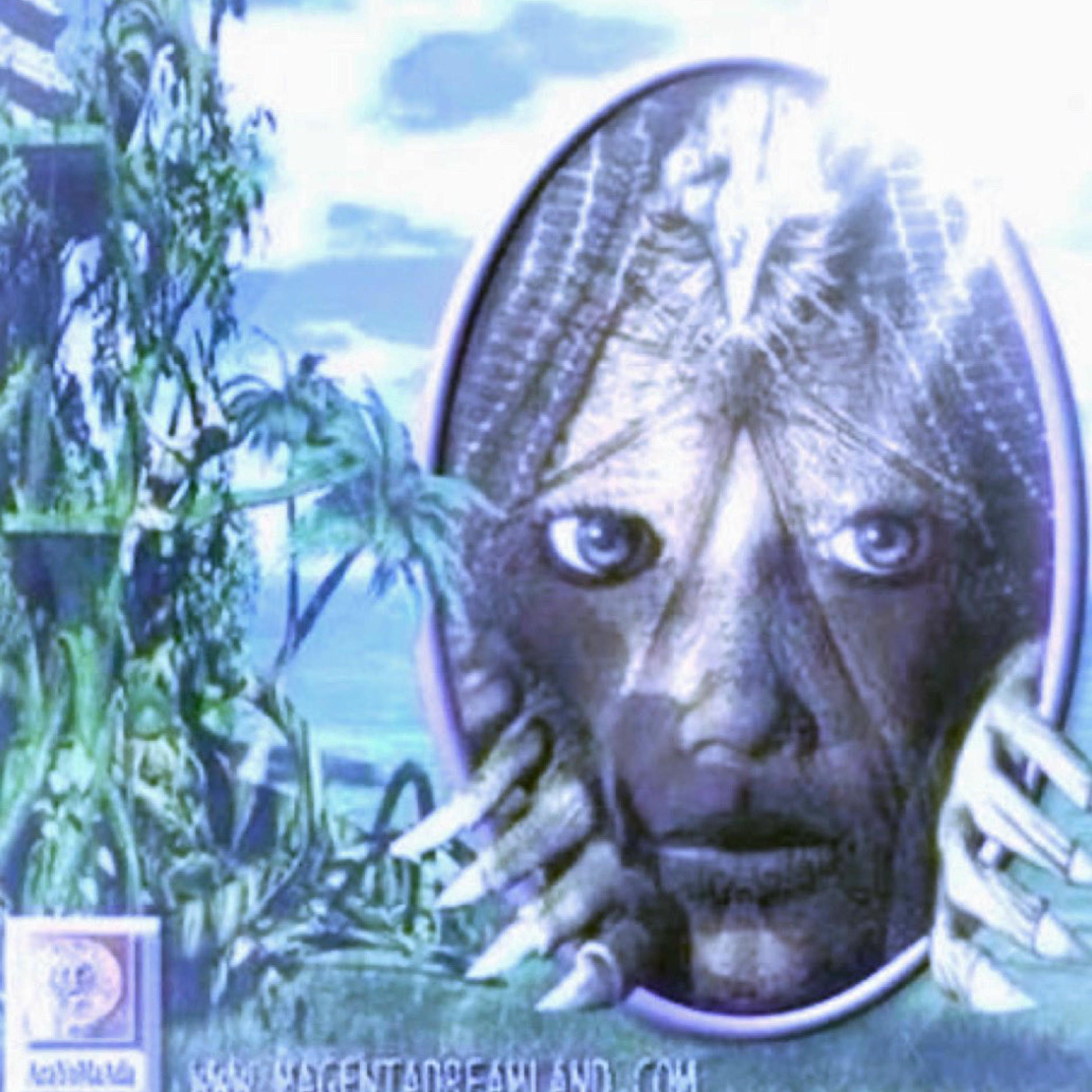 Album cover of tourist (feat. naoki)