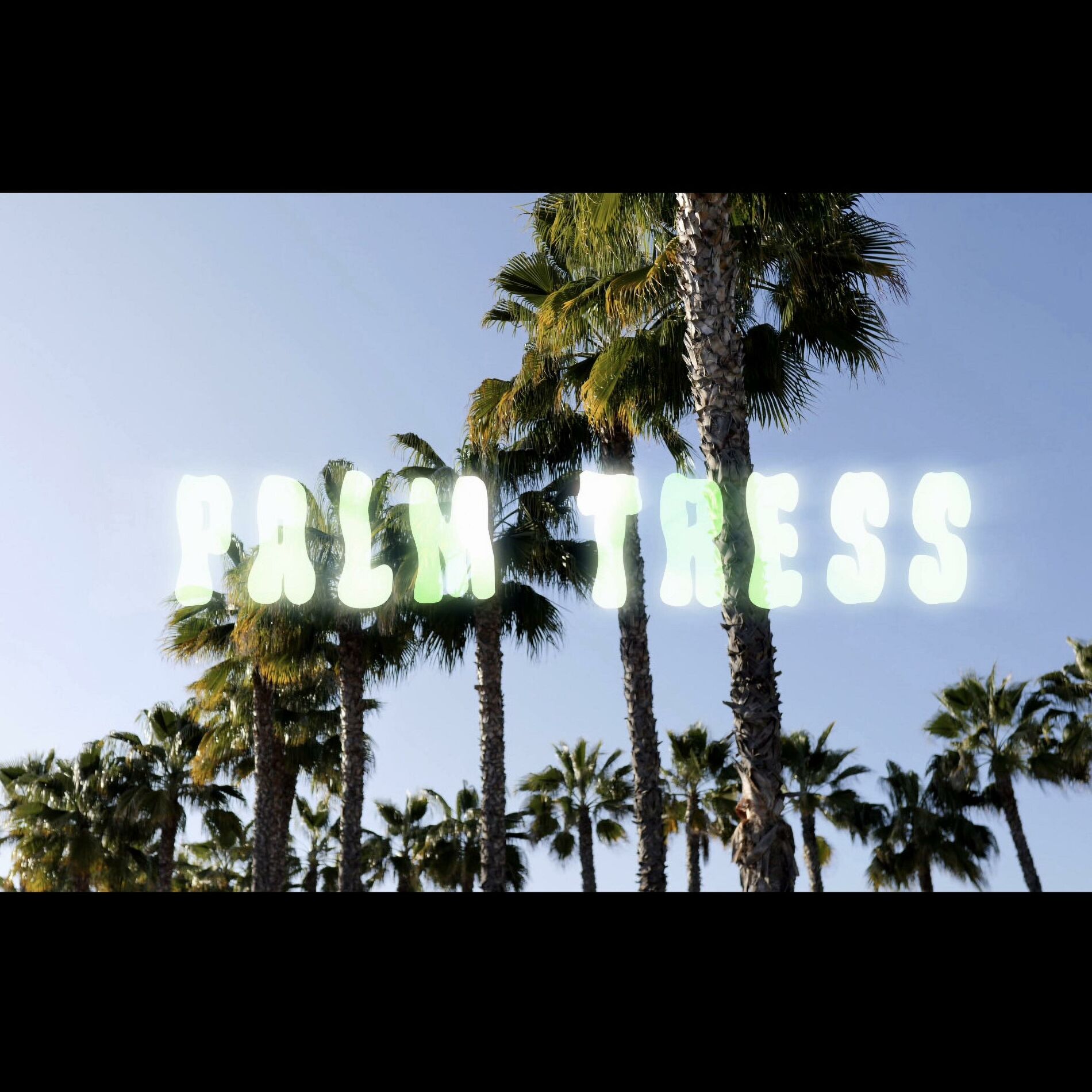 Album cover of Palm Trees (feat. 2DNK)