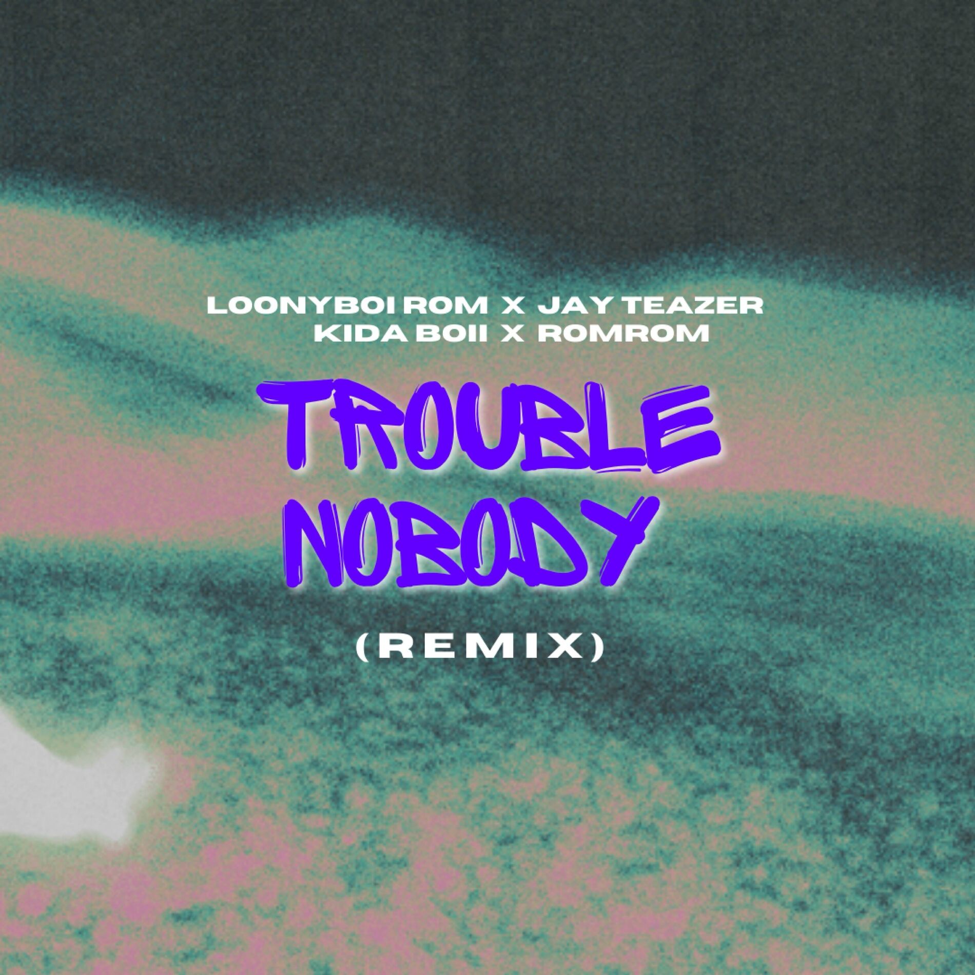 Album cover of Trouble Nobody (Remix)