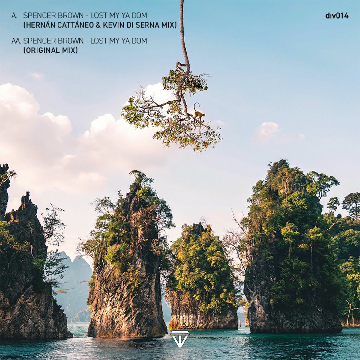 Album cover of Lost My Ya Dom