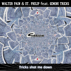 Cover of Tricks Shot Me Down