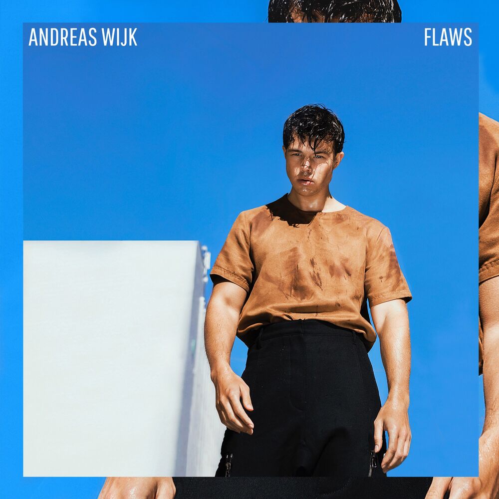 Picture of FLAWS