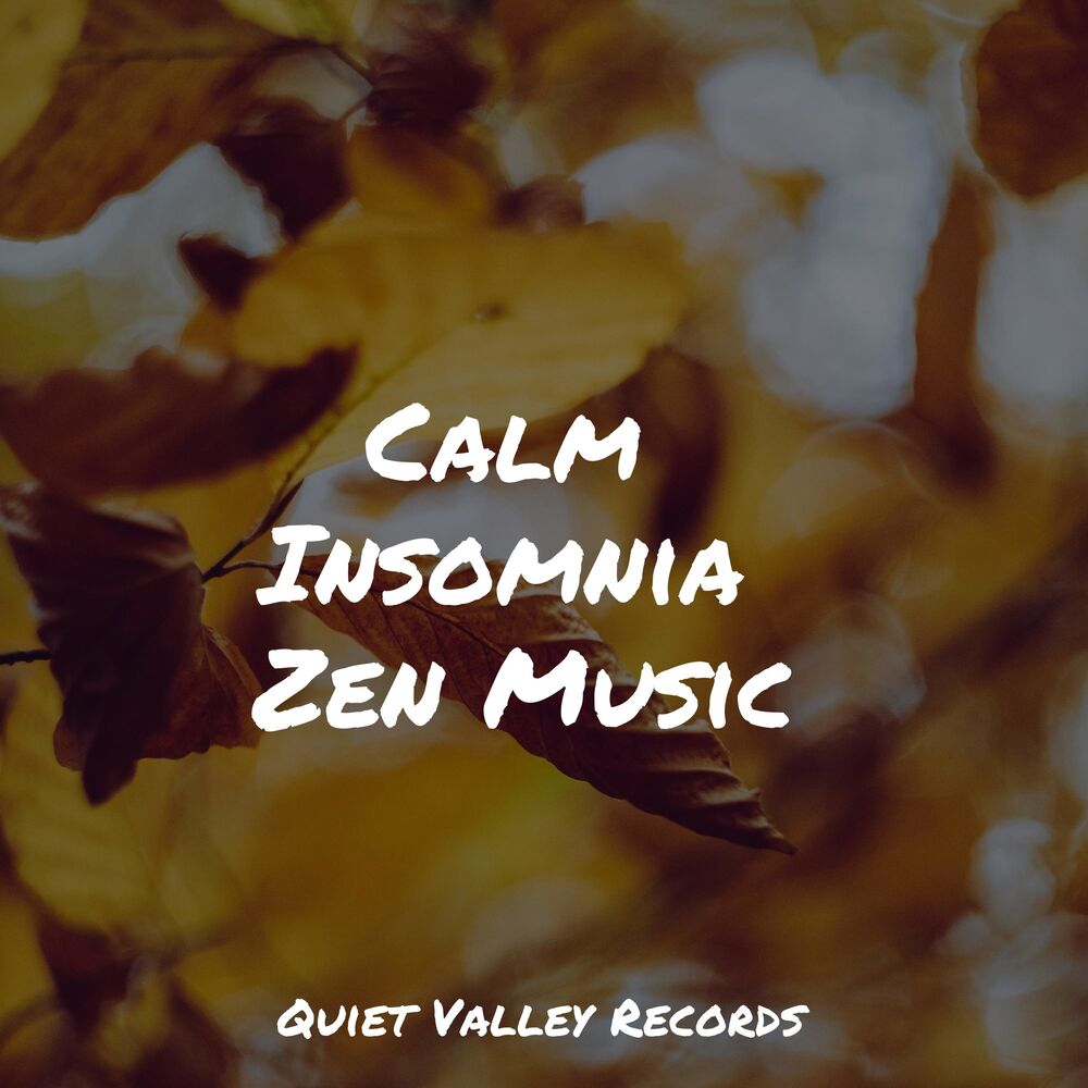 Picture of Calm Insomnia Zen Music
