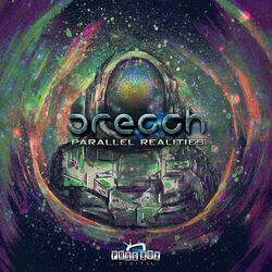 Cover of Parallel Realities