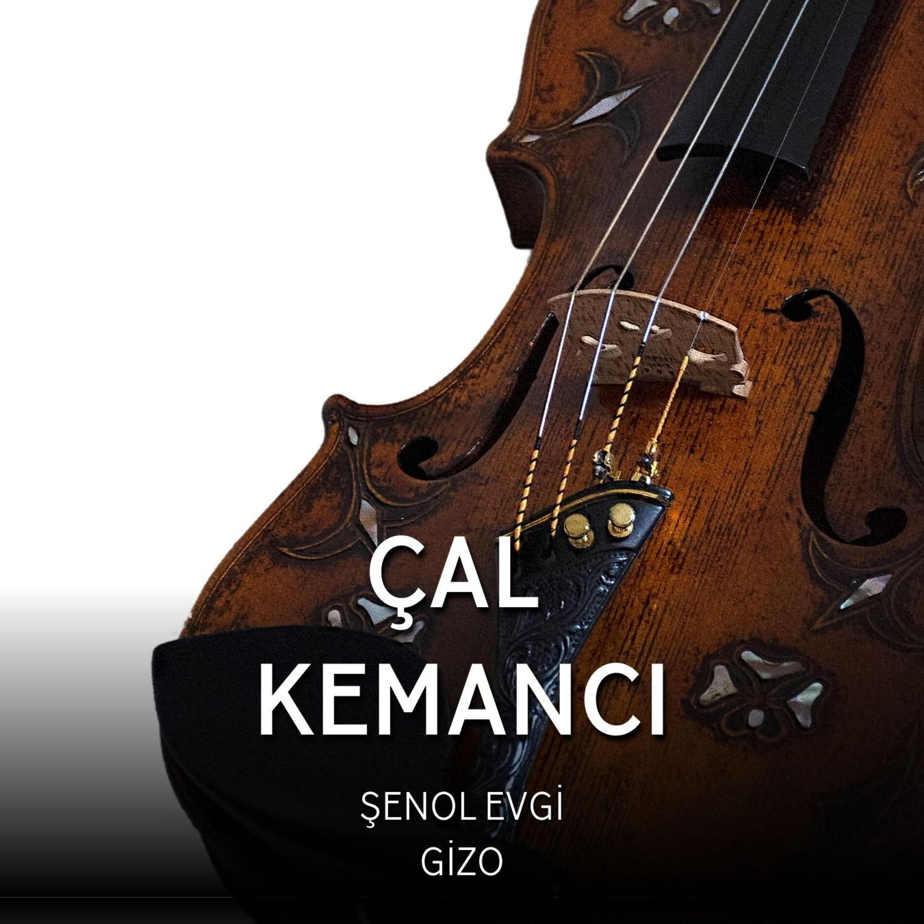 Album cover of Çal Kemancı