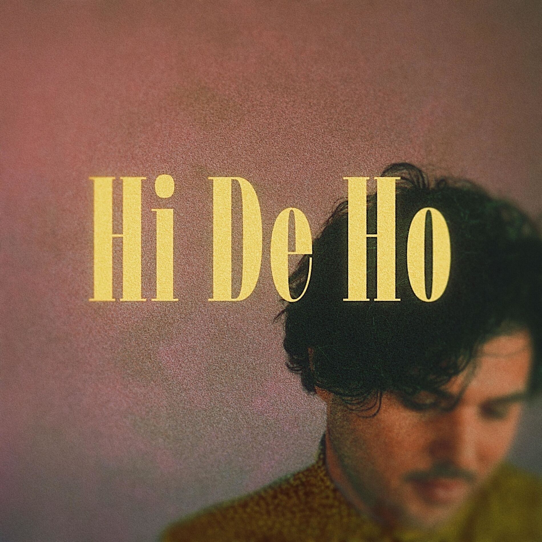 Album cover of Hi De Ho