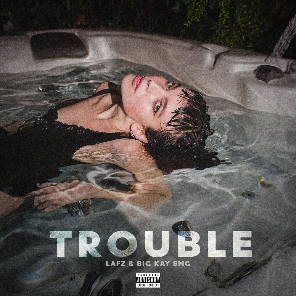 Picture of Trouble