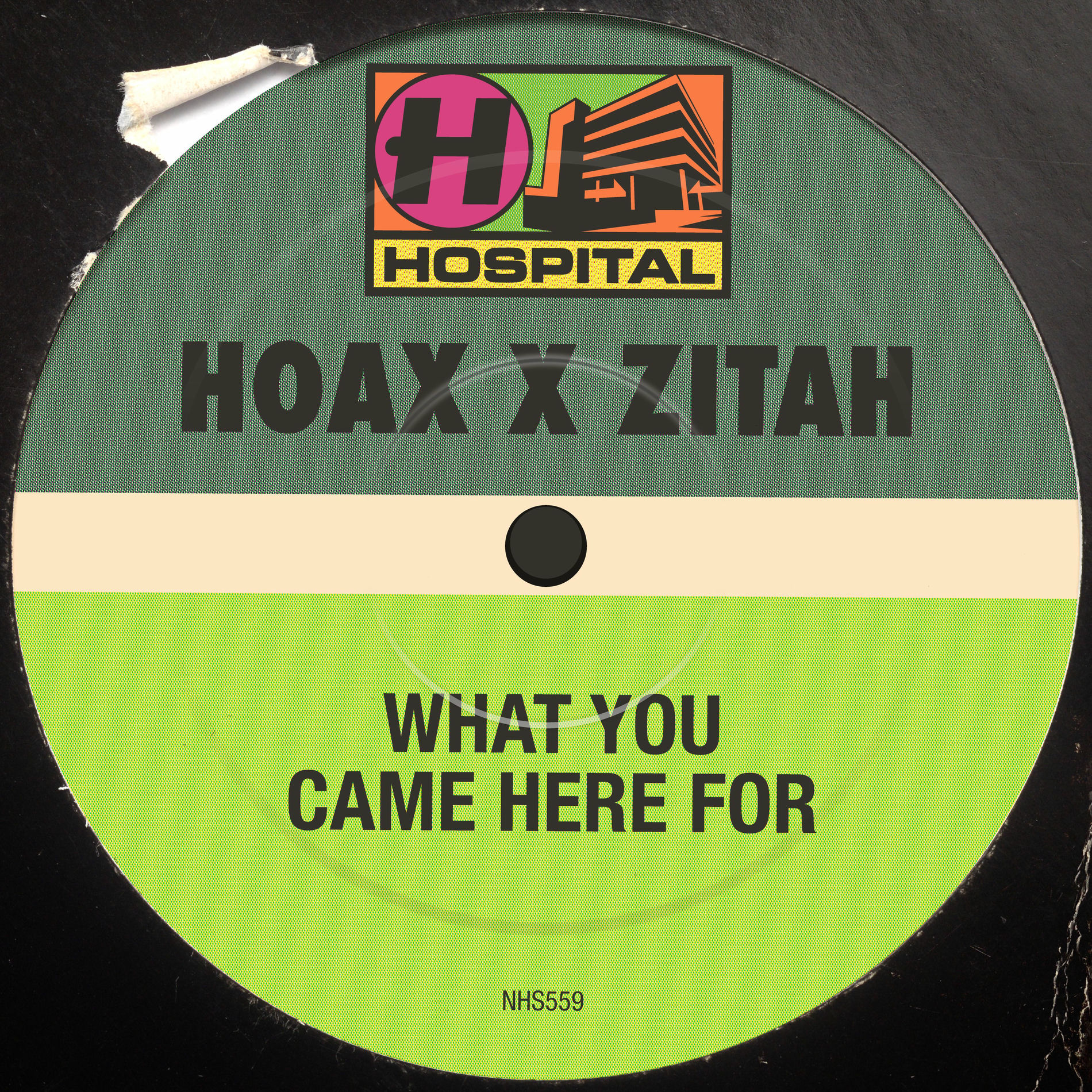 Album cover of What You Came Here For