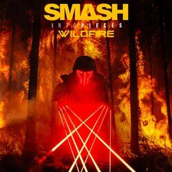 Cover of Wildfire