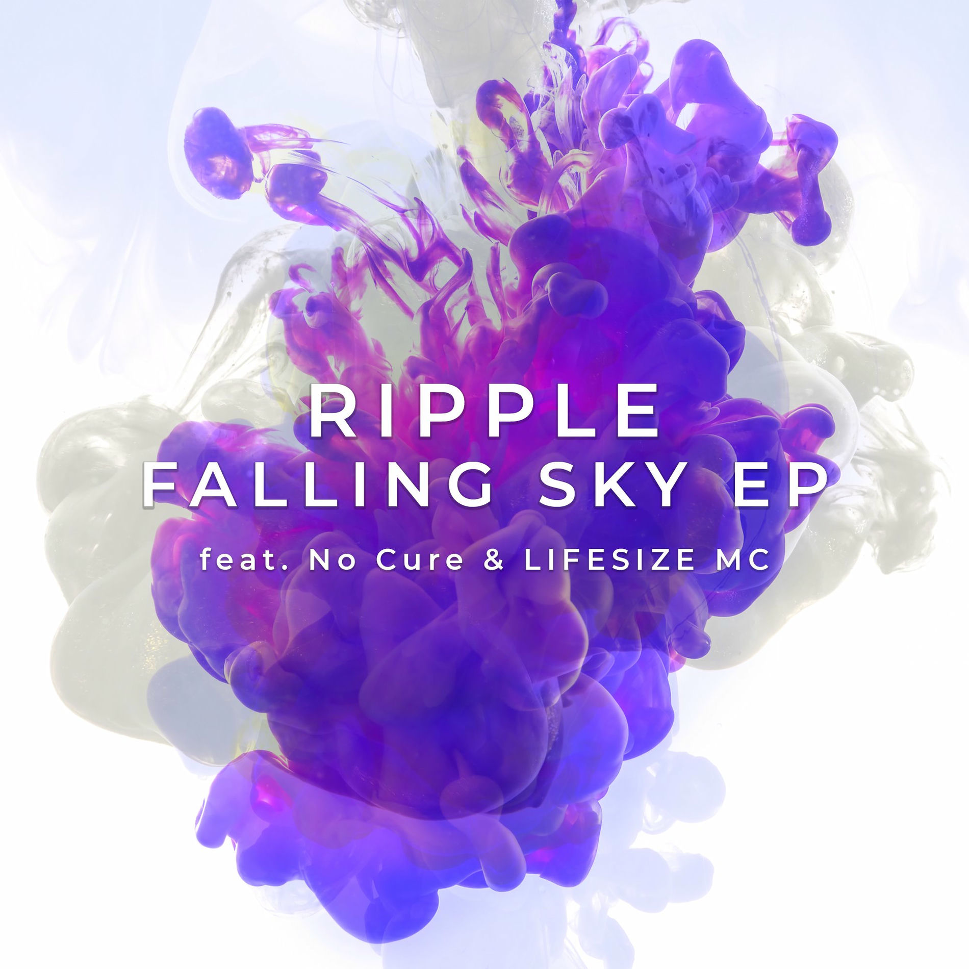 Album cover of Falling Sky