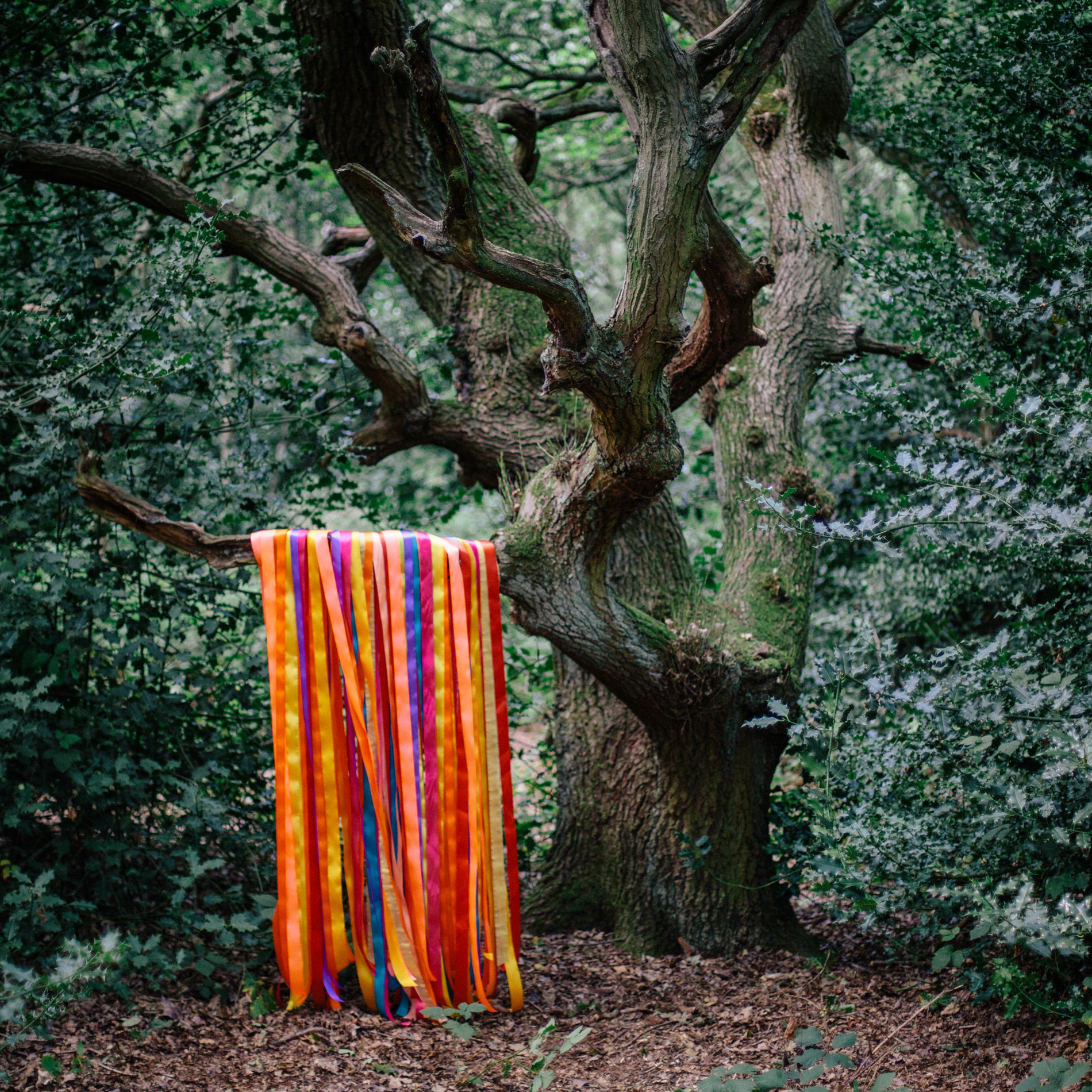 Album cover of The Animal Spirits