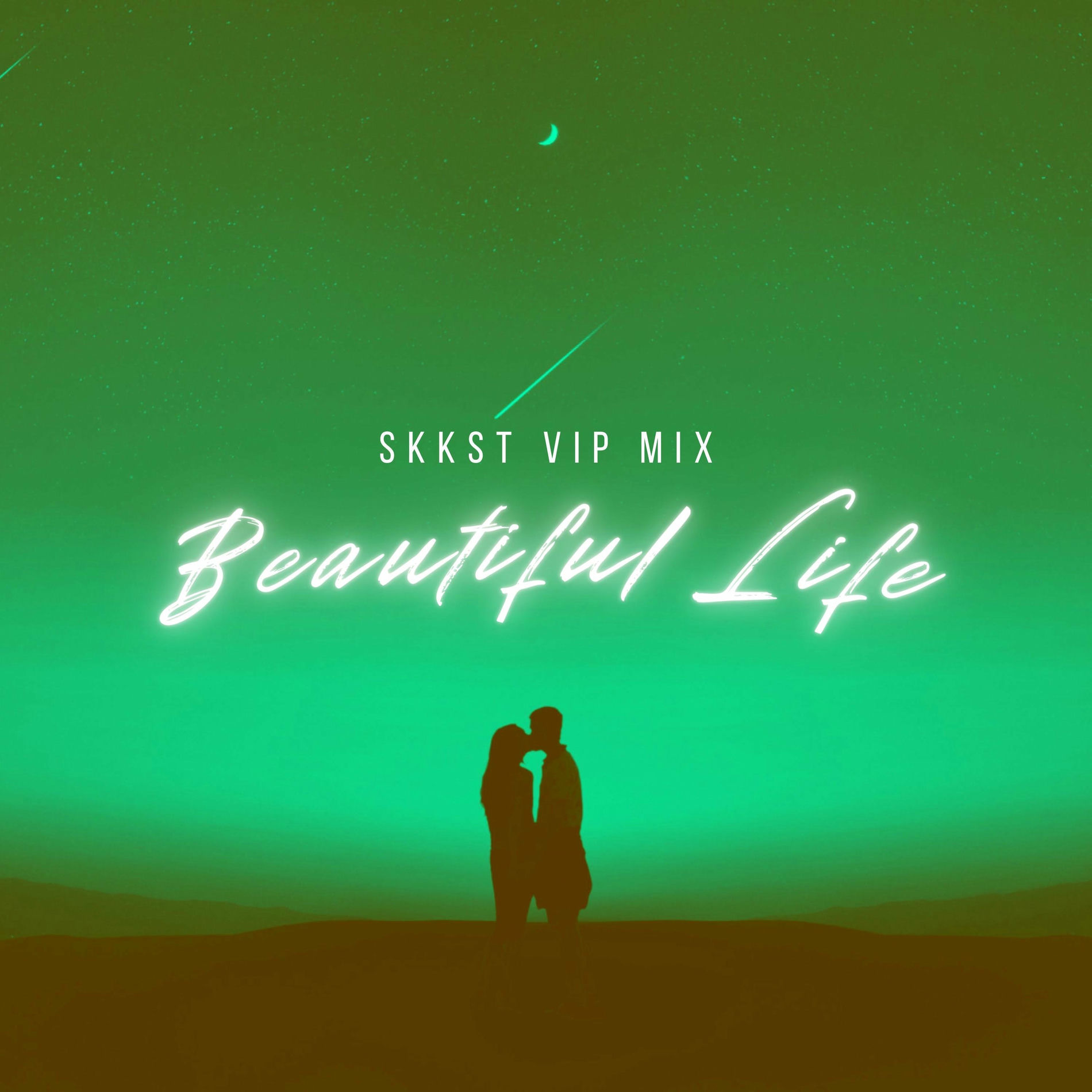 Album cover of Beautiful Life (VIP Mix)