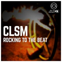 Cover of Rocking to the beat
