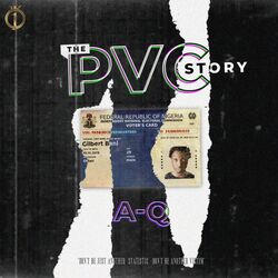 Cover of The PVC Story