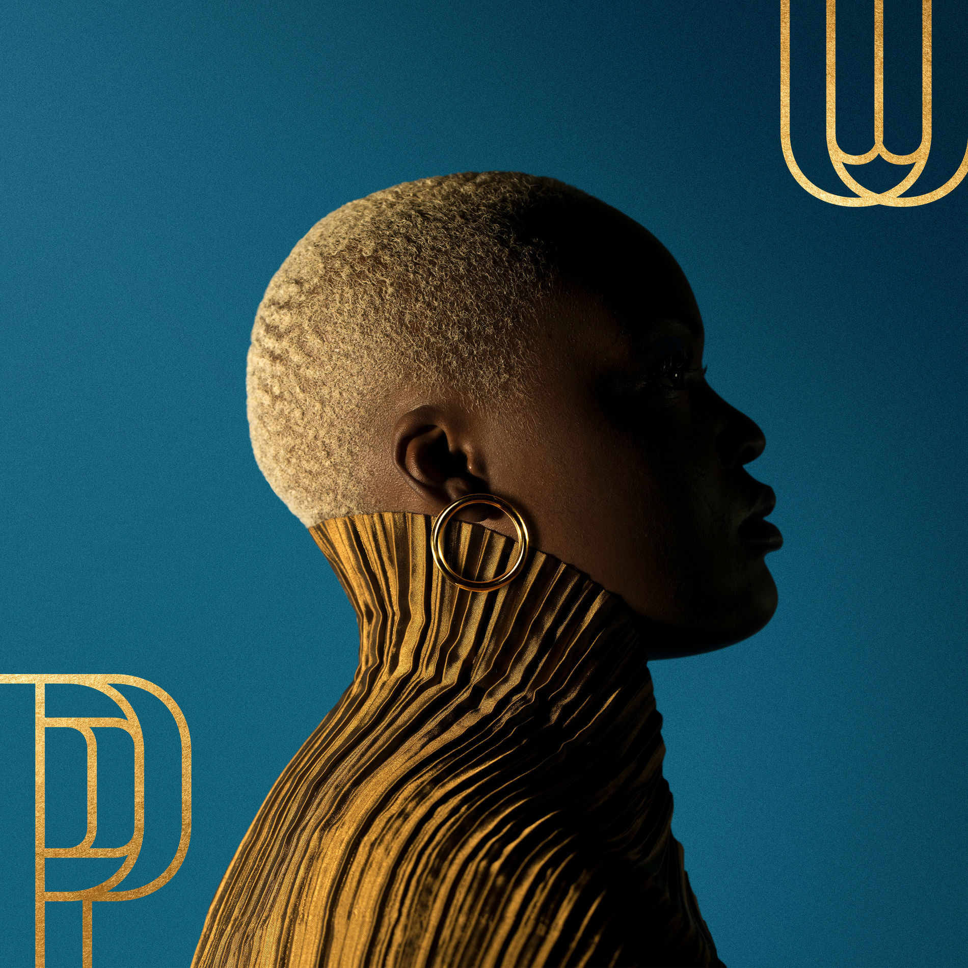 Album cover of Kuzola