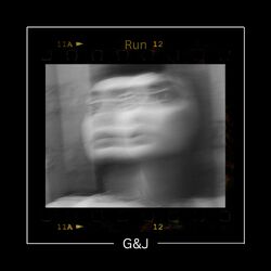 Cover of Run