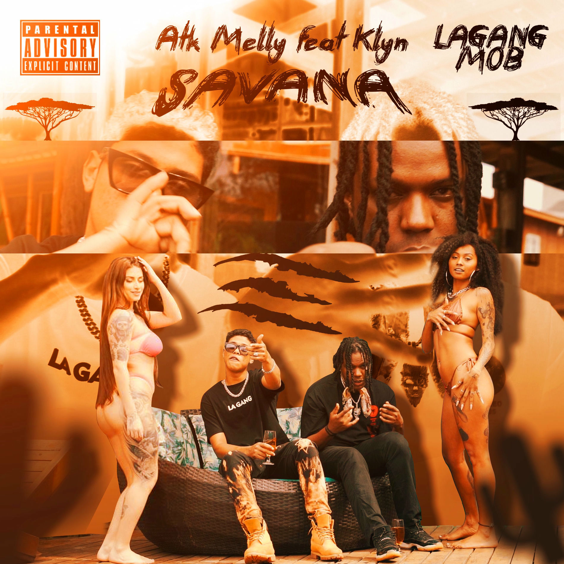 Album cover of Savana