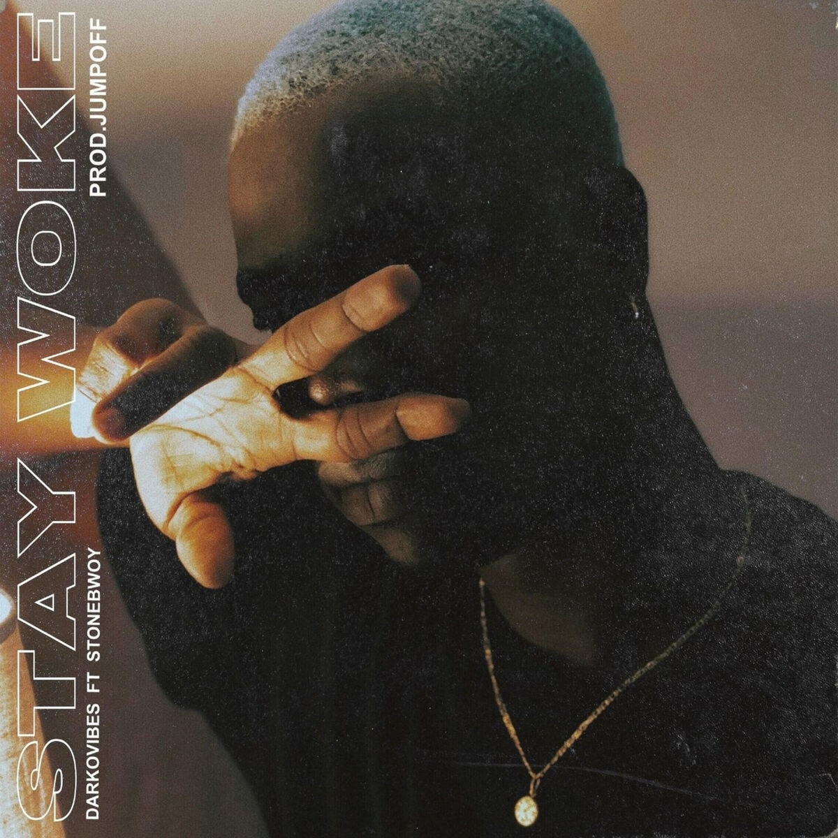 Album cover of Stay Woke