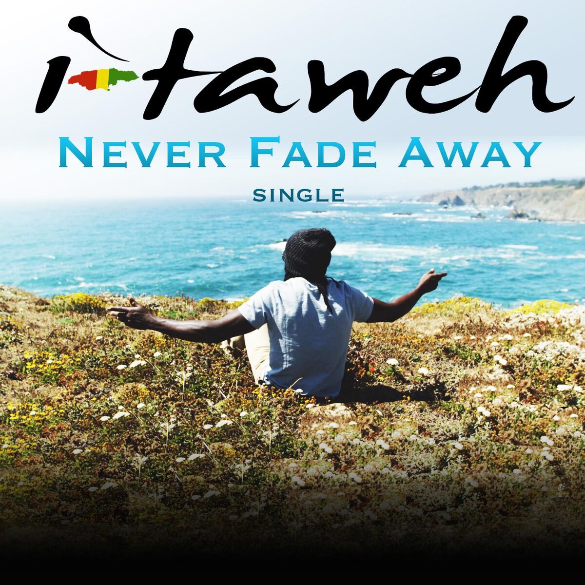 Album cover of Never Fade Away
