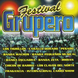 music cover