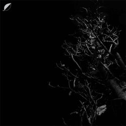 Cover of Heights