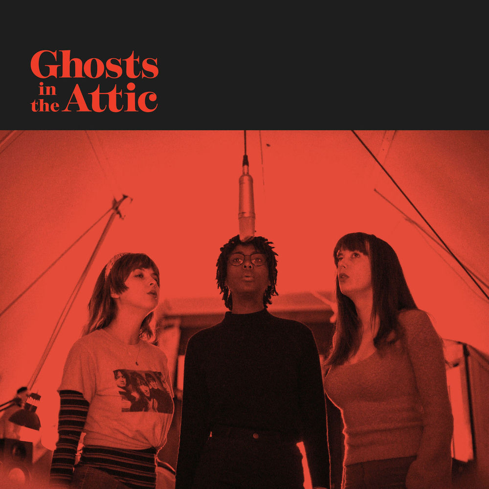 Ghosts in the Attic cover