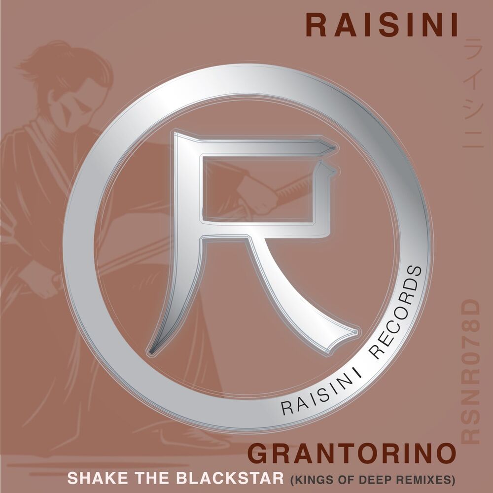 Picture of Shake the Blackstar (Kings of Deep Remixes)