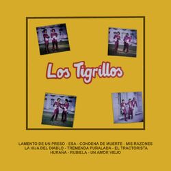 Cover of Lamento De Un Preso