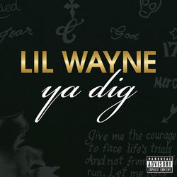 Cover of Ya Dig