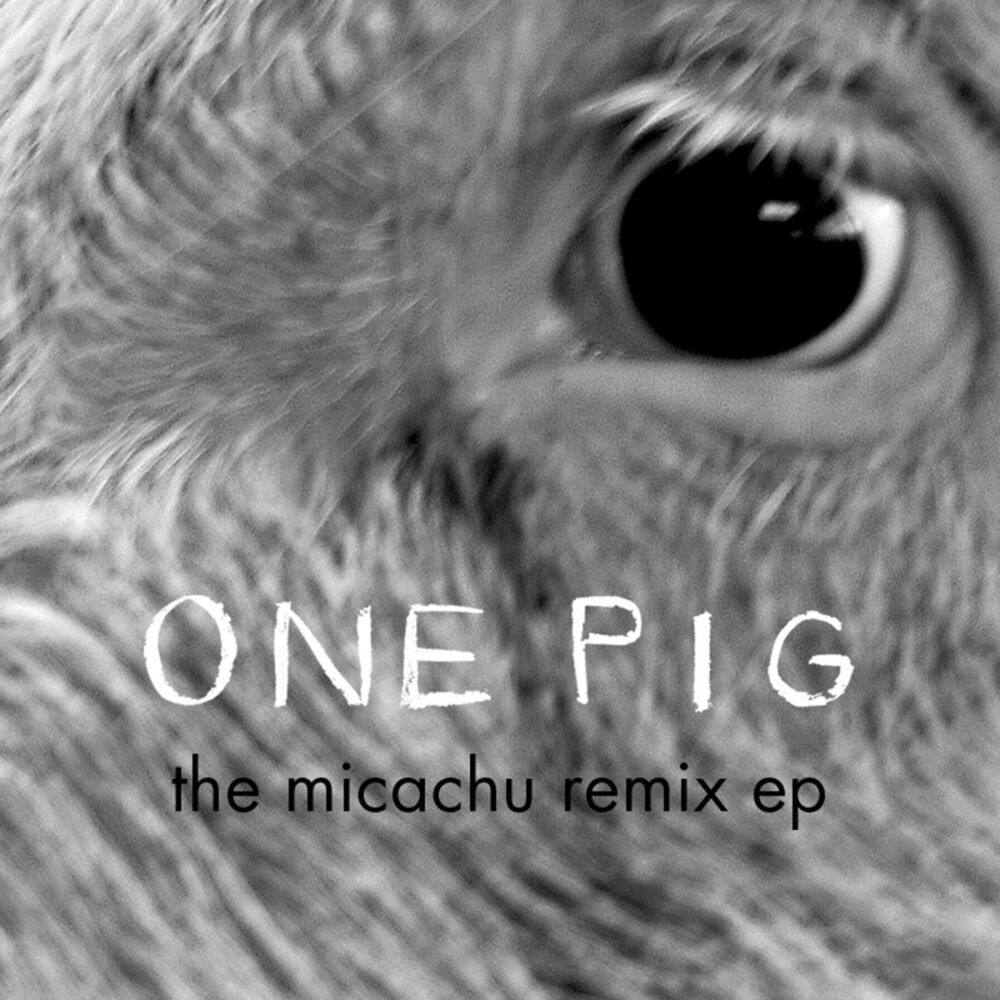 Picture of One Pig (Micachu Remix EP)