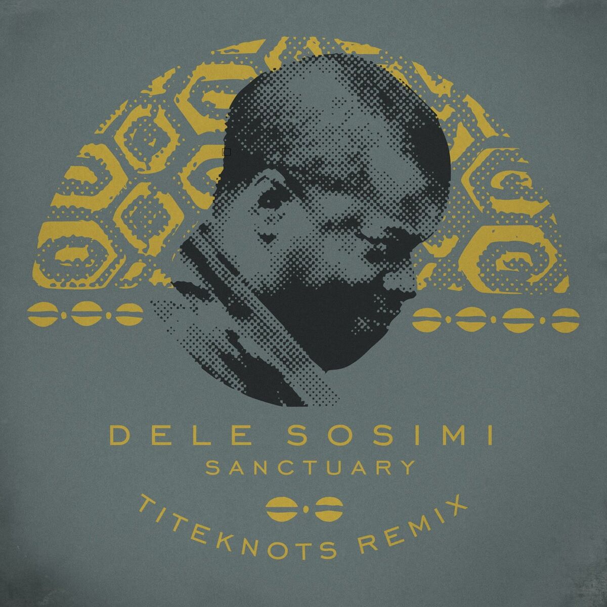 Album cover of Sanctuary (Titeknots Remix Radio Edit)