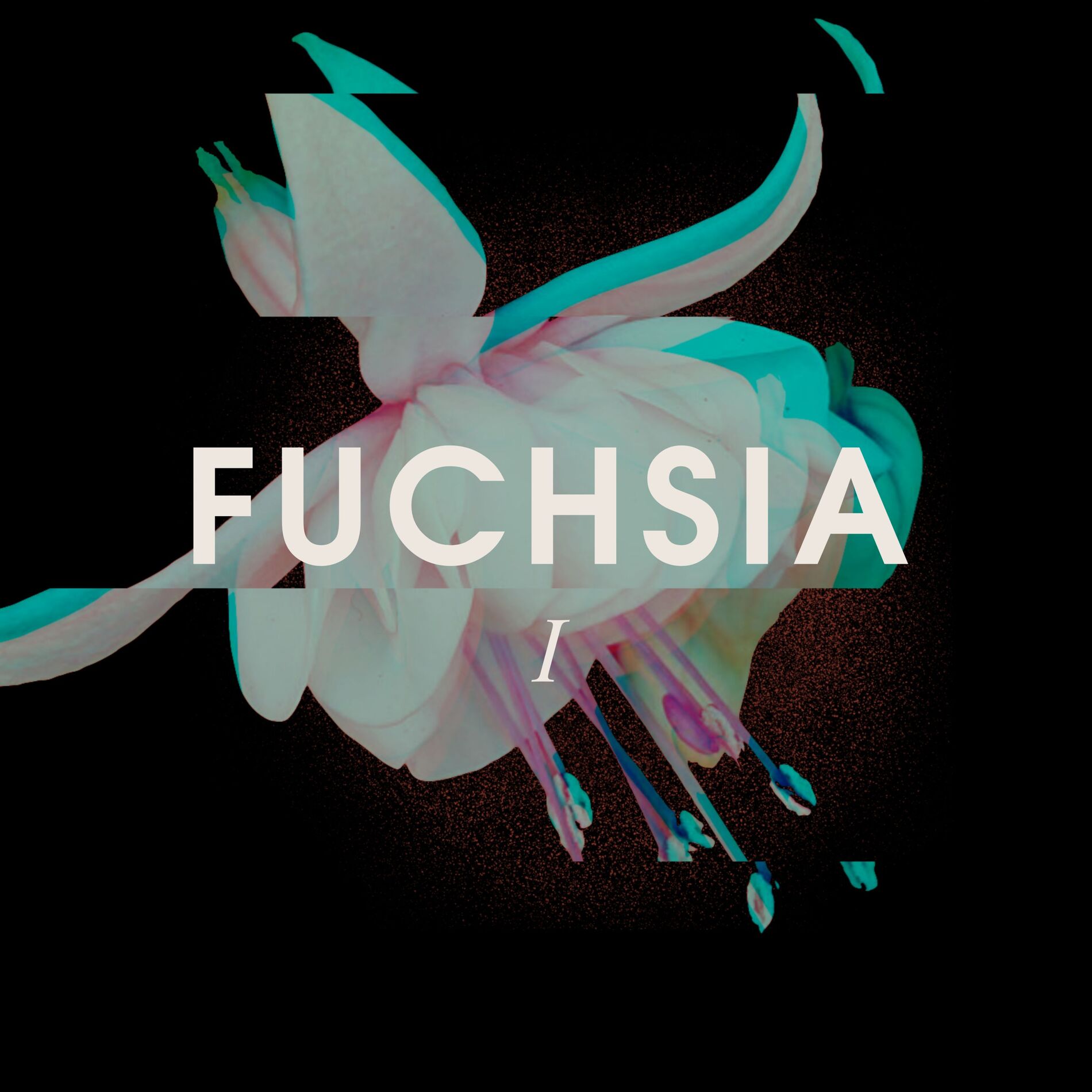 Album cover of Fuchsia I (ambient version)