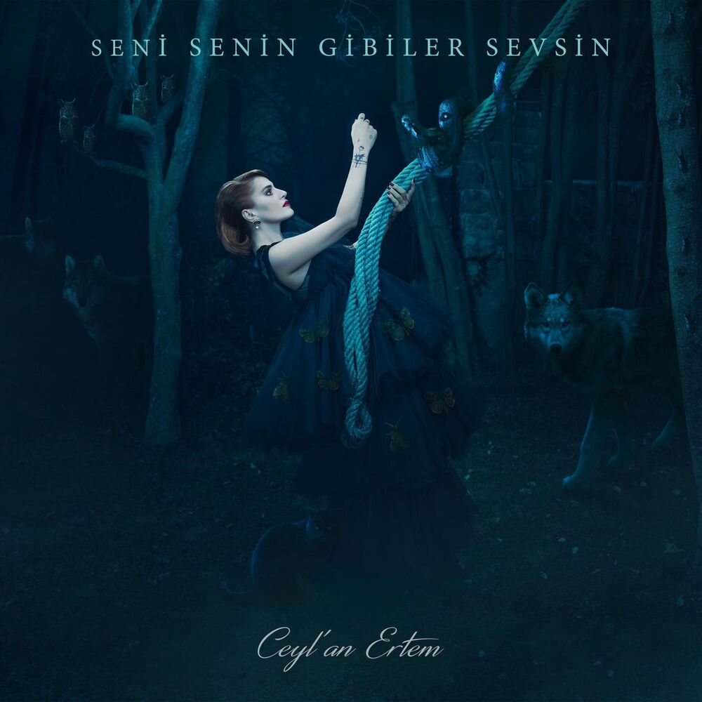 Picture of Seni Senin Gibiler Sevsin