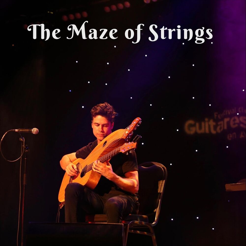 Picture of The Maze of Strings