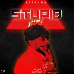 Cover of Stupid Bitch!
