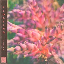 Cover of Floating