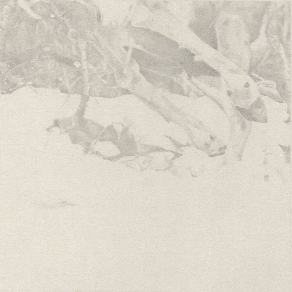 Picture of The Coachlight Woods