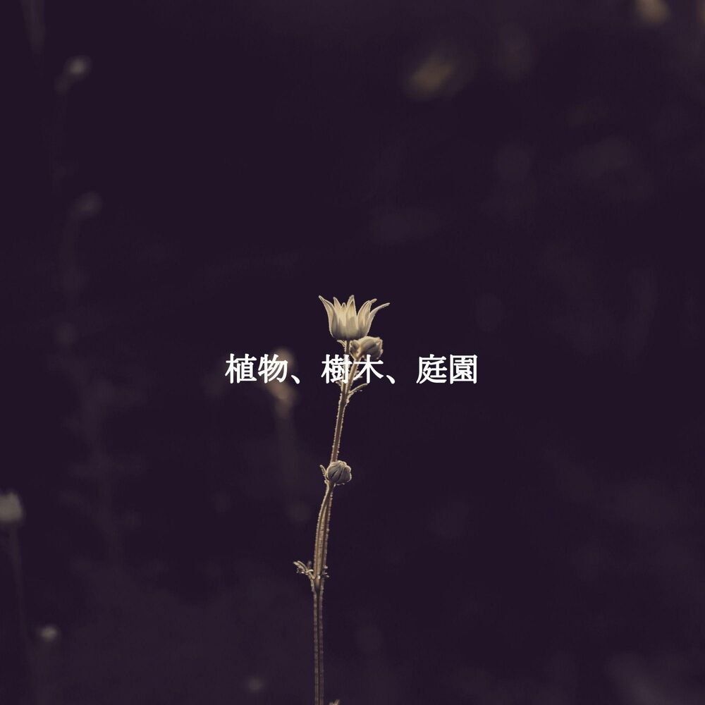 Picture of 植物、樹木、庭園