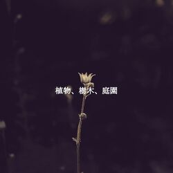 Cover of 植物、樹木、庭園
