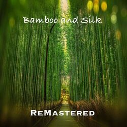 Cover of Bamboo And Silk
