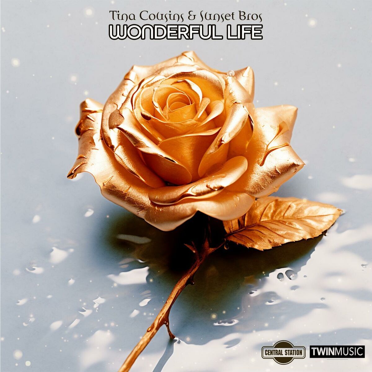 Album cover of Wonderful Life