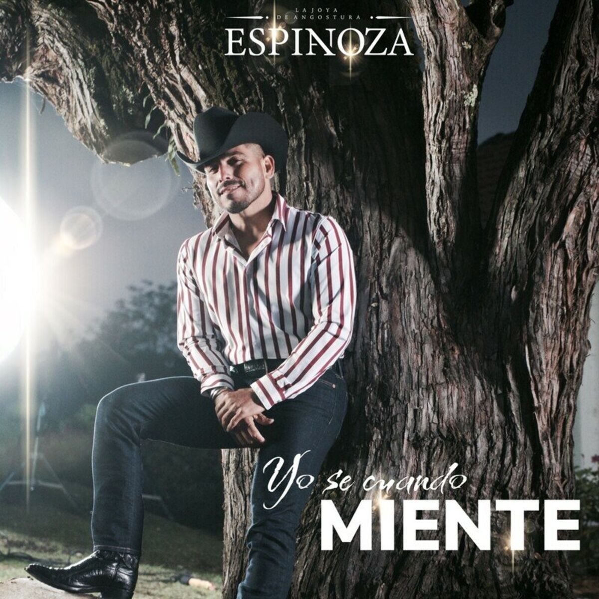 Album cover of Yo sé cuando miente
