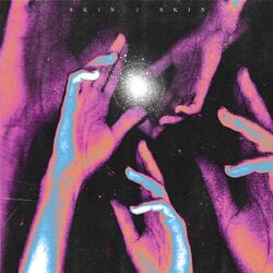 Cover of Skin 2 Skin