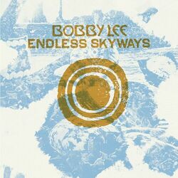 Cover of Endless Skyways