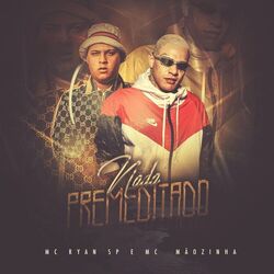 Cover of Nada Premeditado