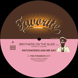 Cover of Brothers on the Slide