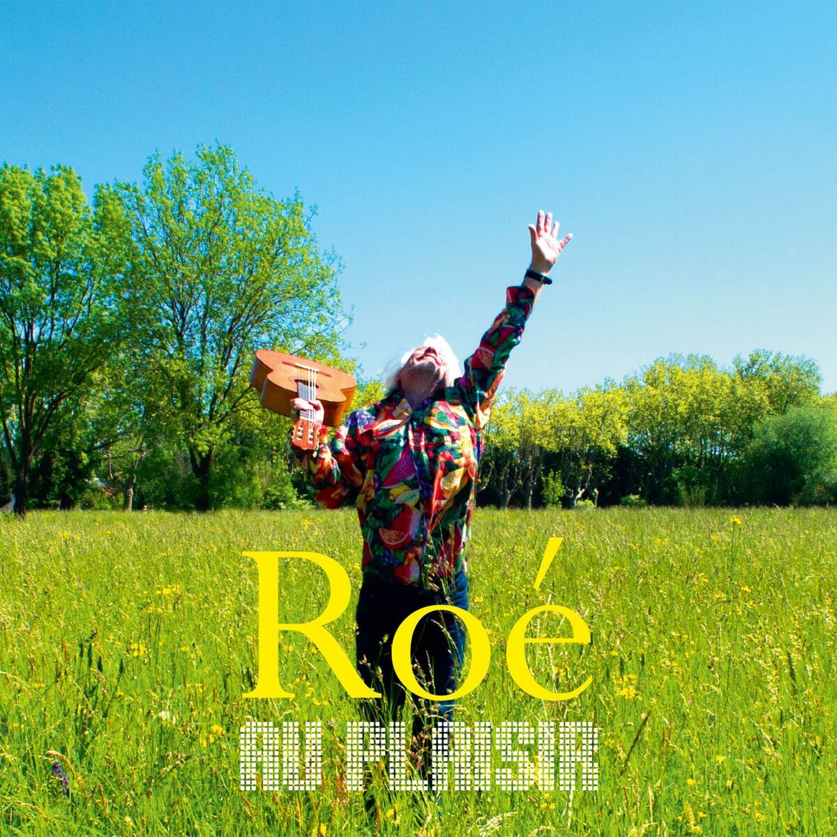 Album cover of Le monde est merveilleux