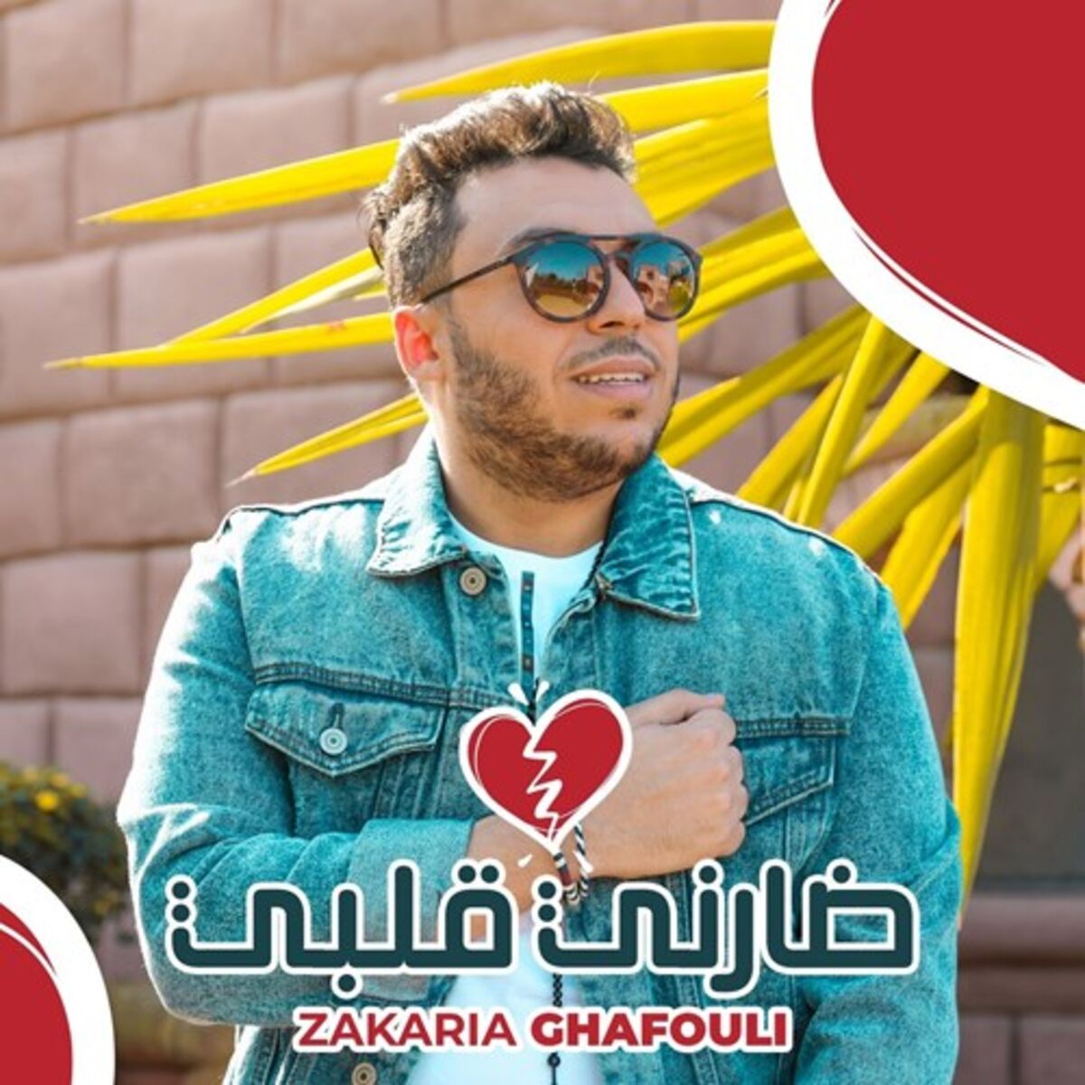Album cover of Darni 9elbi