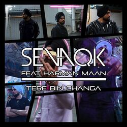 Cover of Tere Bin Changa