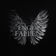 Engel fallen by Zate album cover